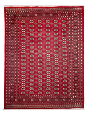 Tappeto afgano - Bukhara - 311 x 243 cm - rosso