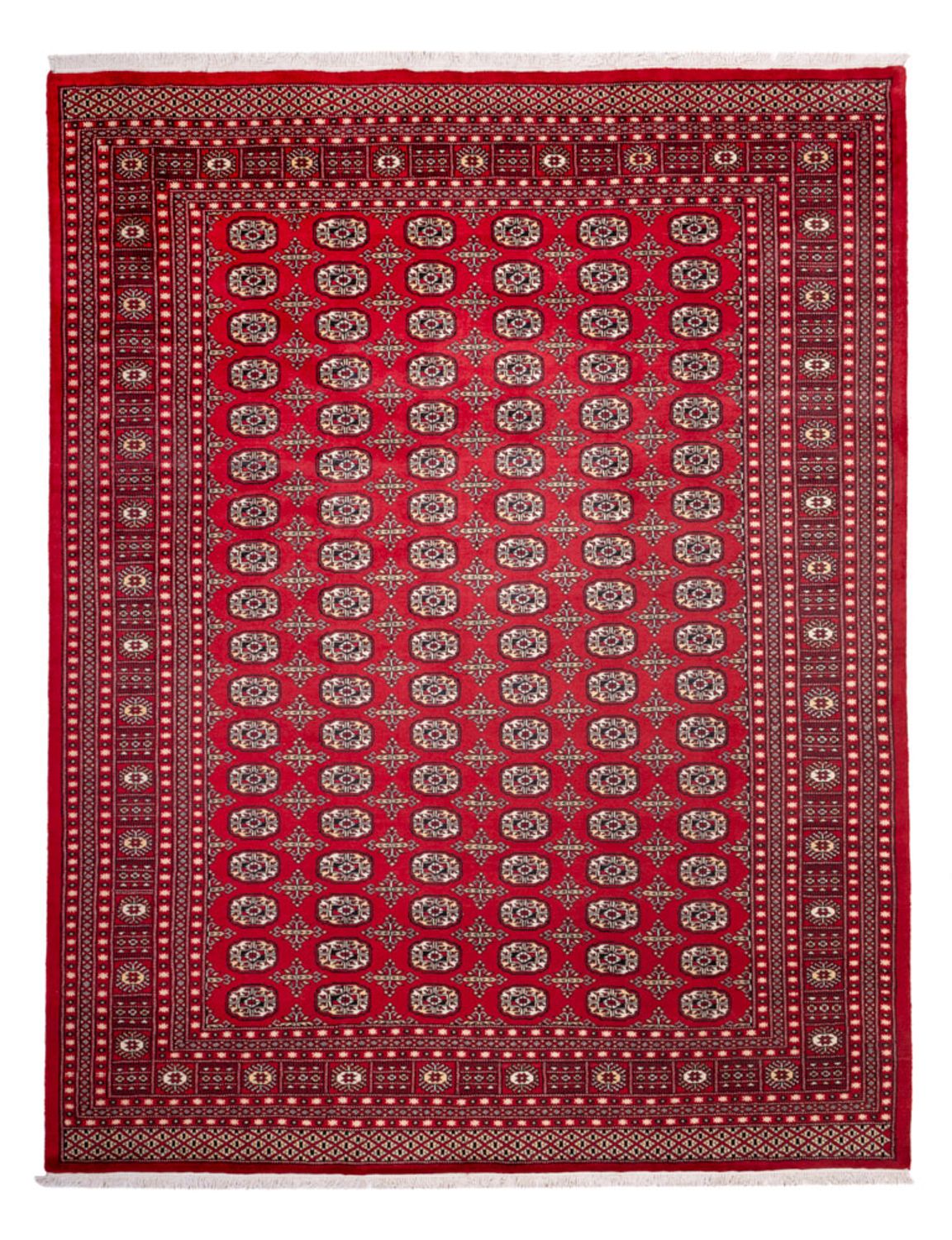 Tappeto afgano - Bukhara - 311 x 243 cm - rosso