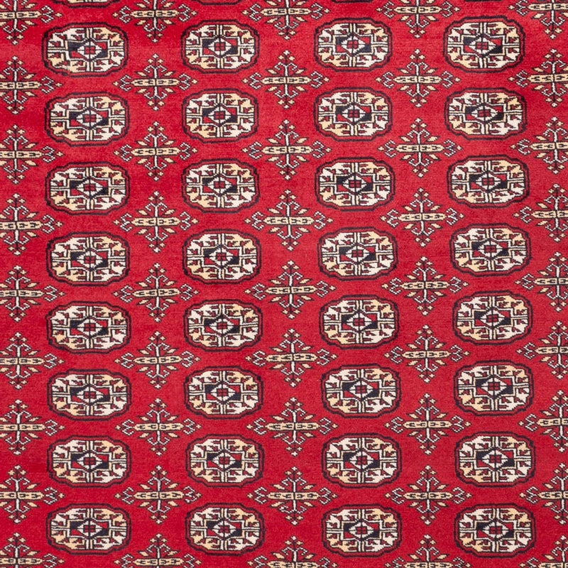 Tappeto afgano - Bukhara - 311 x 243 cm - rosso