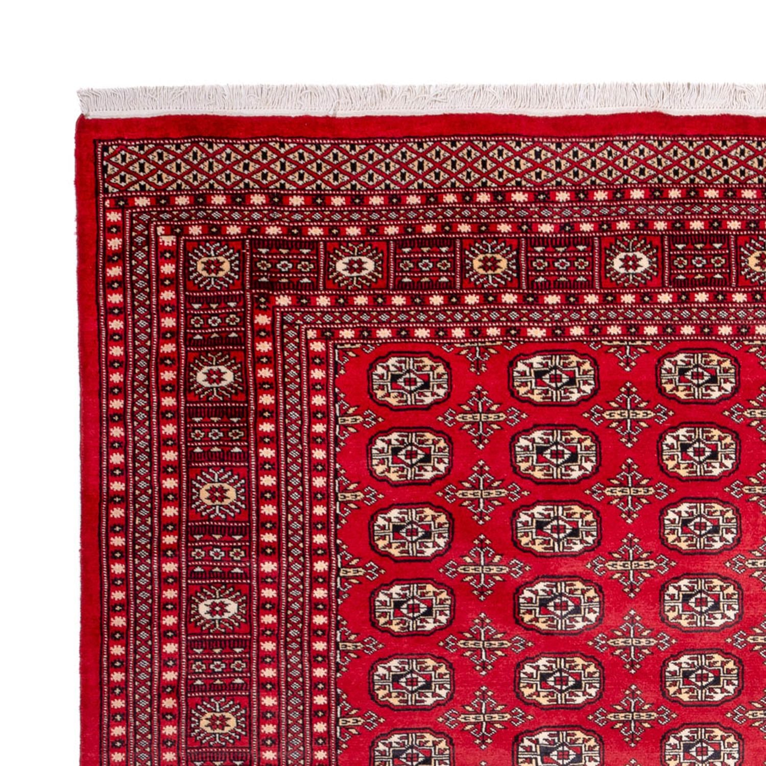 Tappeto afgano - Bukhara - 311 x 243 cm - rosso
