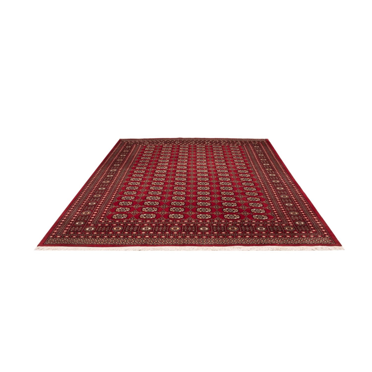 Tappeto afgano - Bukhara - 311 x 243 cm - rosso
