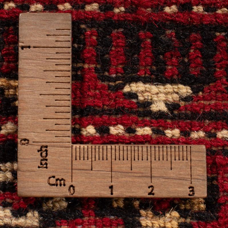 Tappeto afgano - Bukhara - 311 x 243 cm - rosso