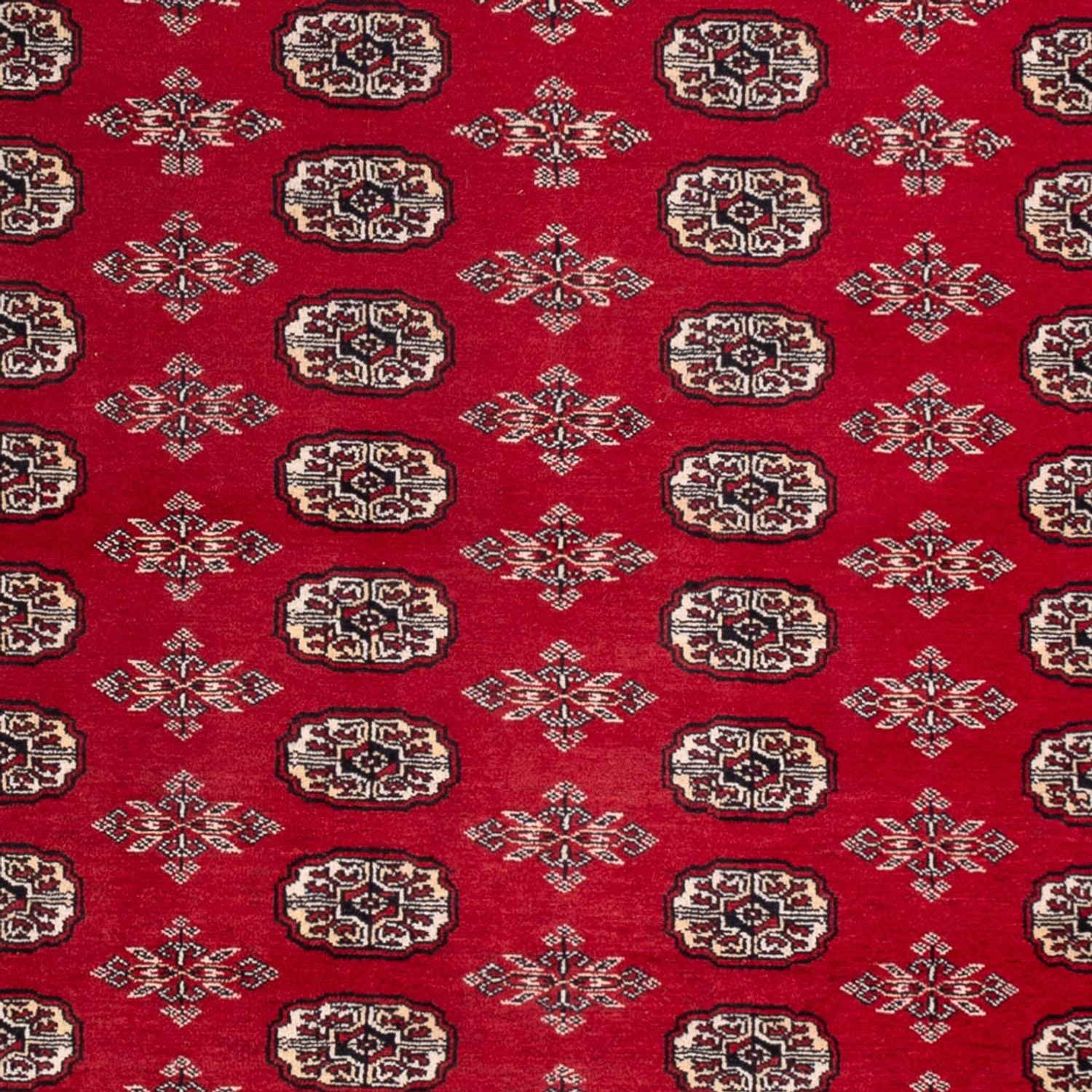 Tappeto afgano - Bukhara - 297 x 213 cm - rosso