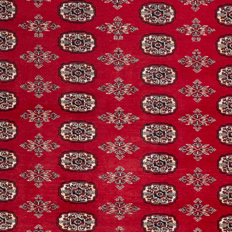 Tappeto afgano - Bukhara - 297 x 213 cm - rosso