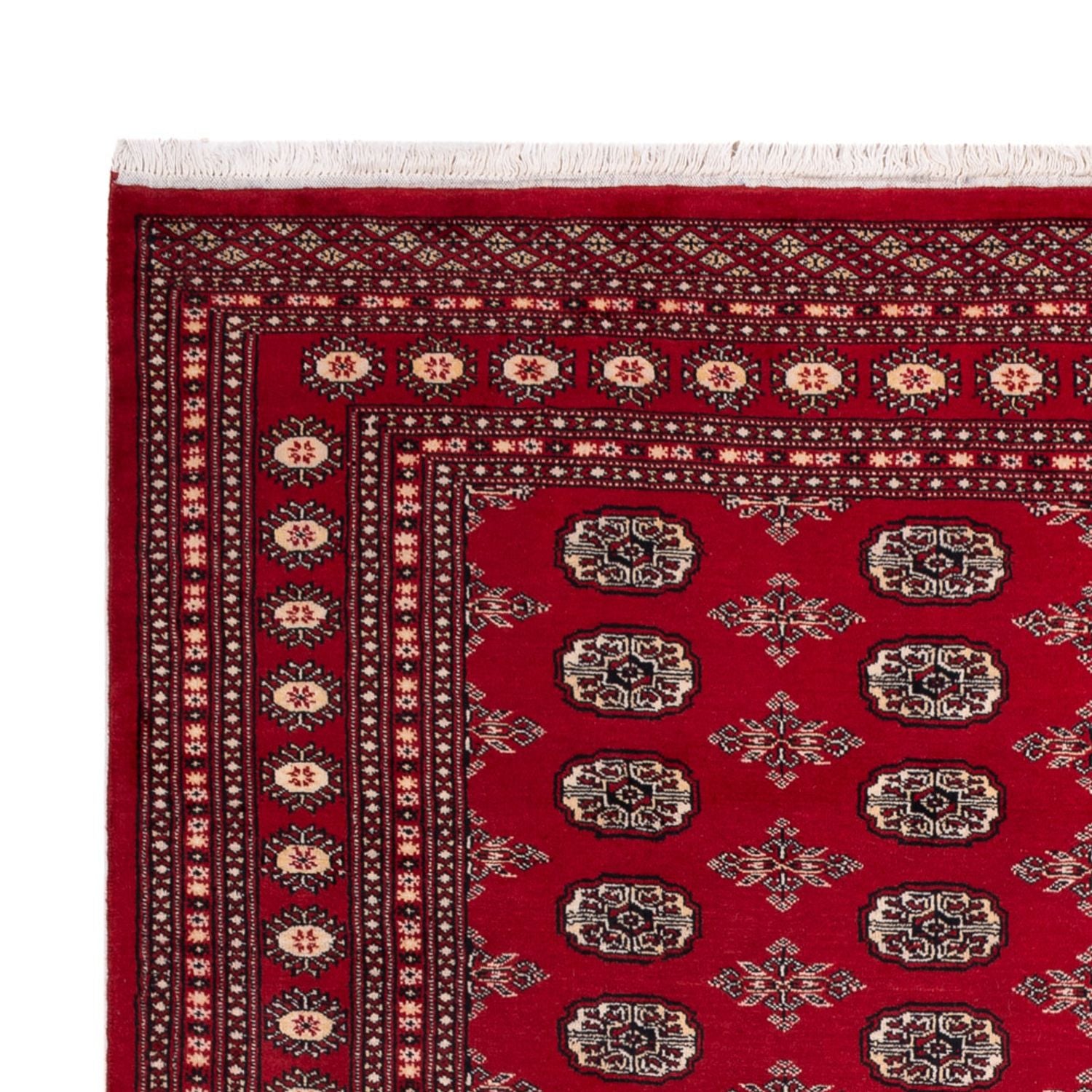 Tappeto afgano - Bukhara - 297 x 213 cm - rosso