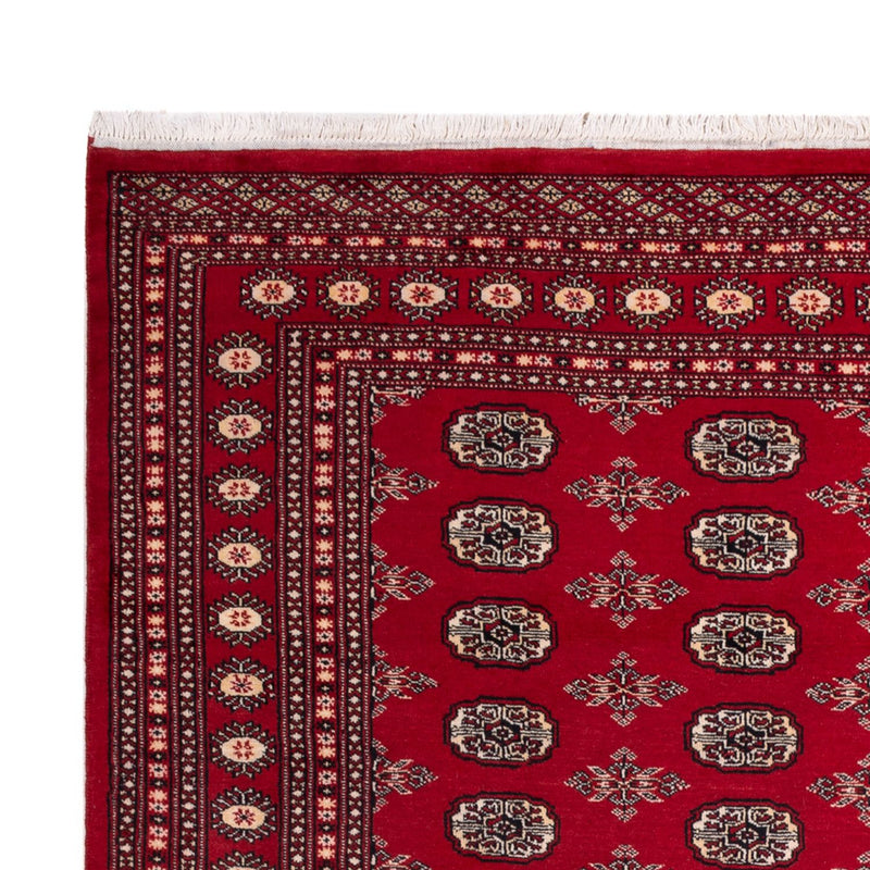 Tappeto afgano - Bukhara - 297 x 213 cm - rosso