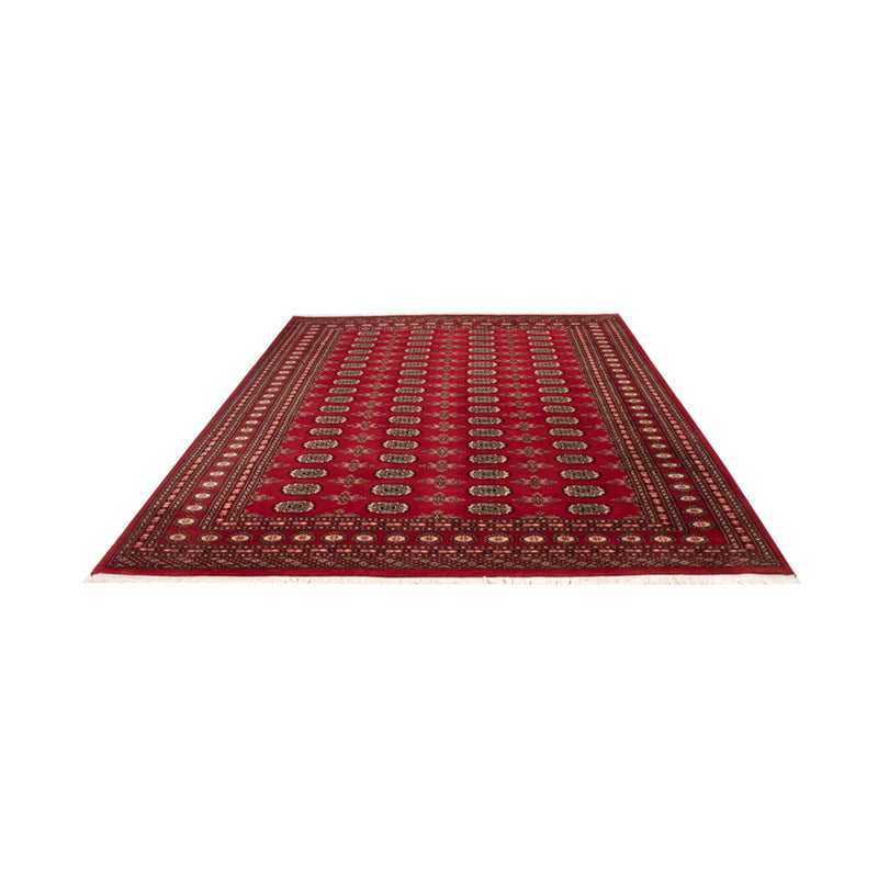 Tappeto afgano - Bukhara - 297 x 213 cm - rosso