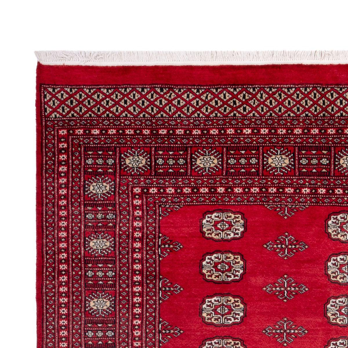 Tappeto afgano - Bukhara - 306 x 197 cm - rosso