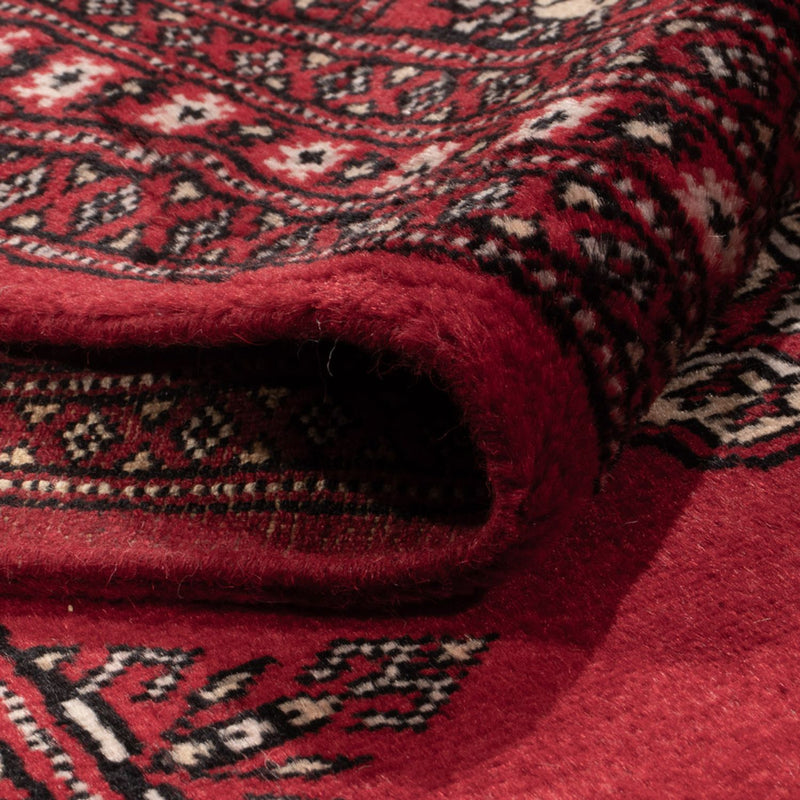Tappeto afgano - Bukhara - 306 x 197 cm - rosso
