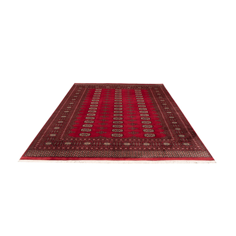 Tappeto afgano - Bukhara - 306 x 197 cm - rosso