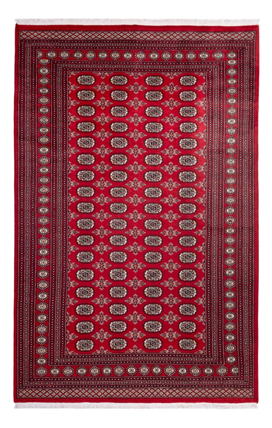 Tappeto afgano - Bukhara - 302 x 199 cm - rosso