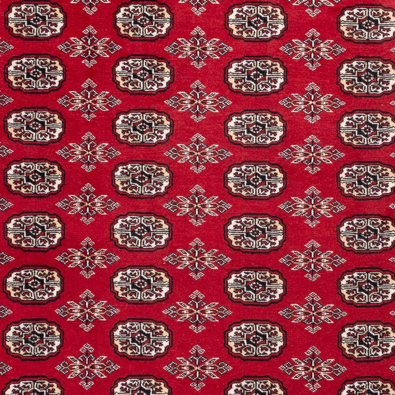 Tappeto afgano - Bukhara - 302 x 199 cm - rosso