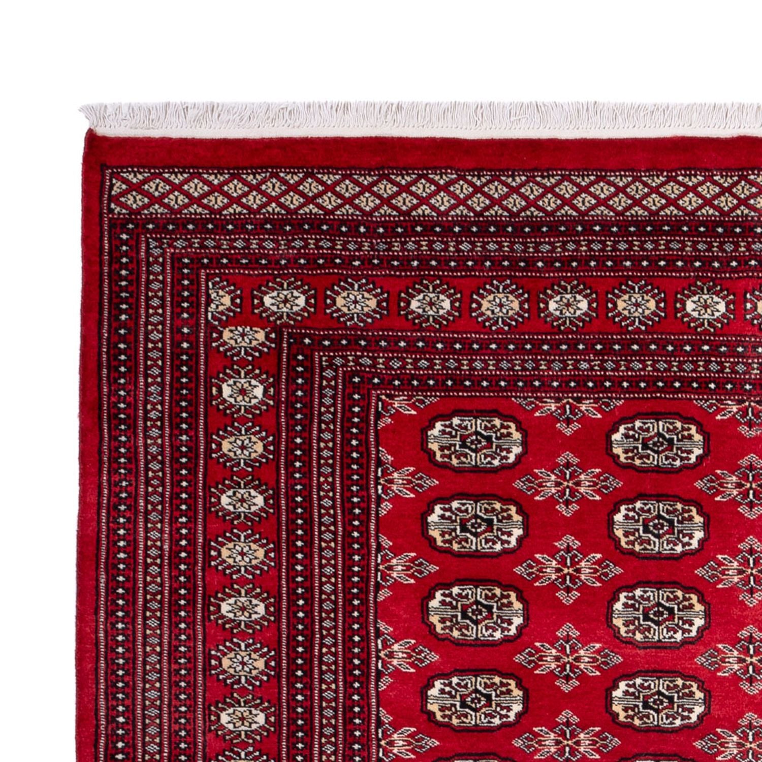 Tappeto afgano - Bukhara - 302 x 199 cm - rosso
