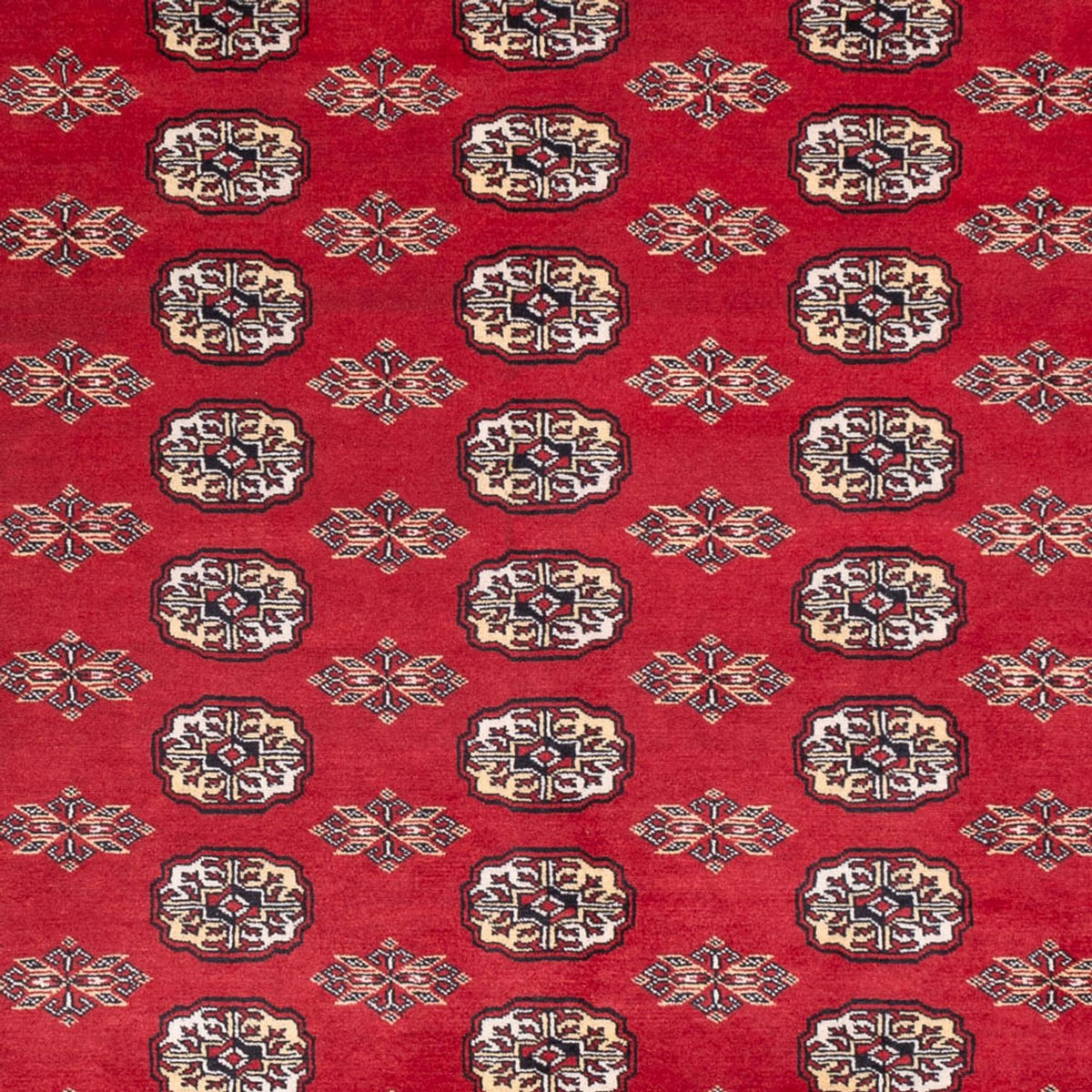 Tappeto afgano - Bukhara - 307 x 247 cm - rosso