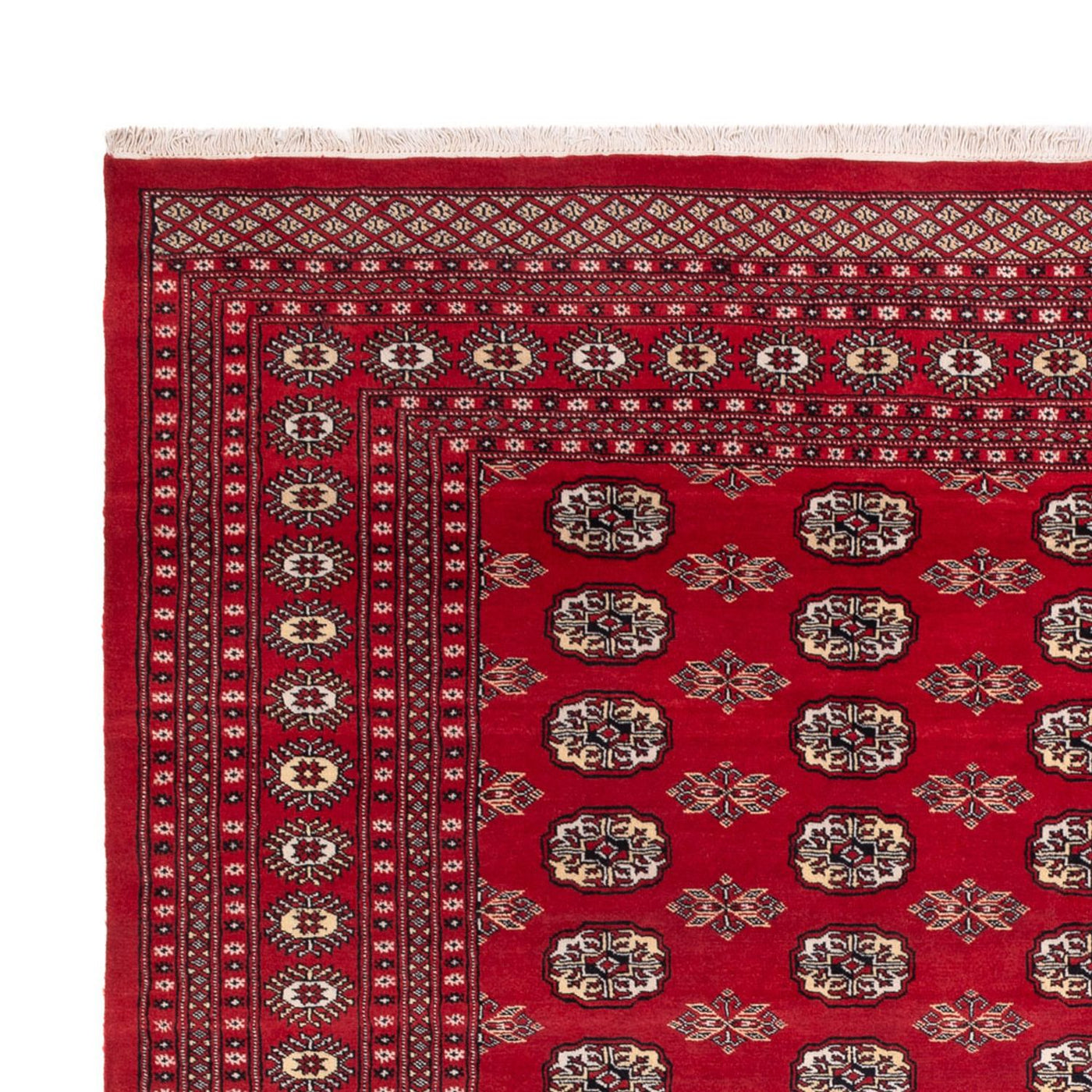 Tappeto afgano - Bukhara - 307 x 247 cm - rosso