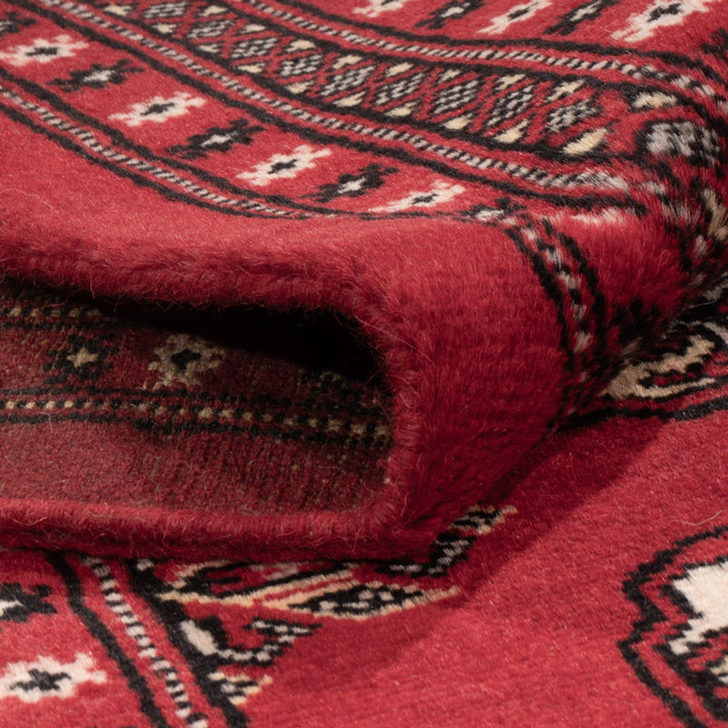 Tappeto afgano - Bukhara - 307 x 247 cm - rosso