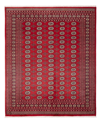 Tappeto afgano - Bukhara - 298 x 243 cm - rosso
