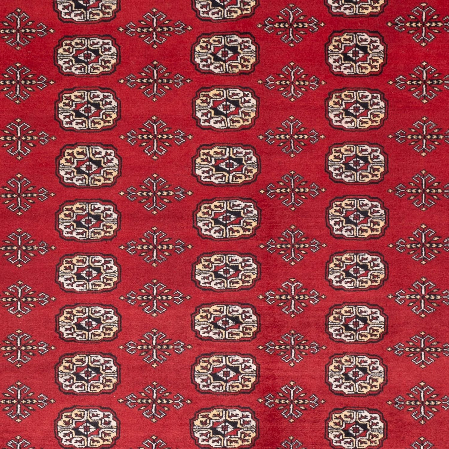 Tappeto afgano - Bukhara - 298 x 243 cm - rosso