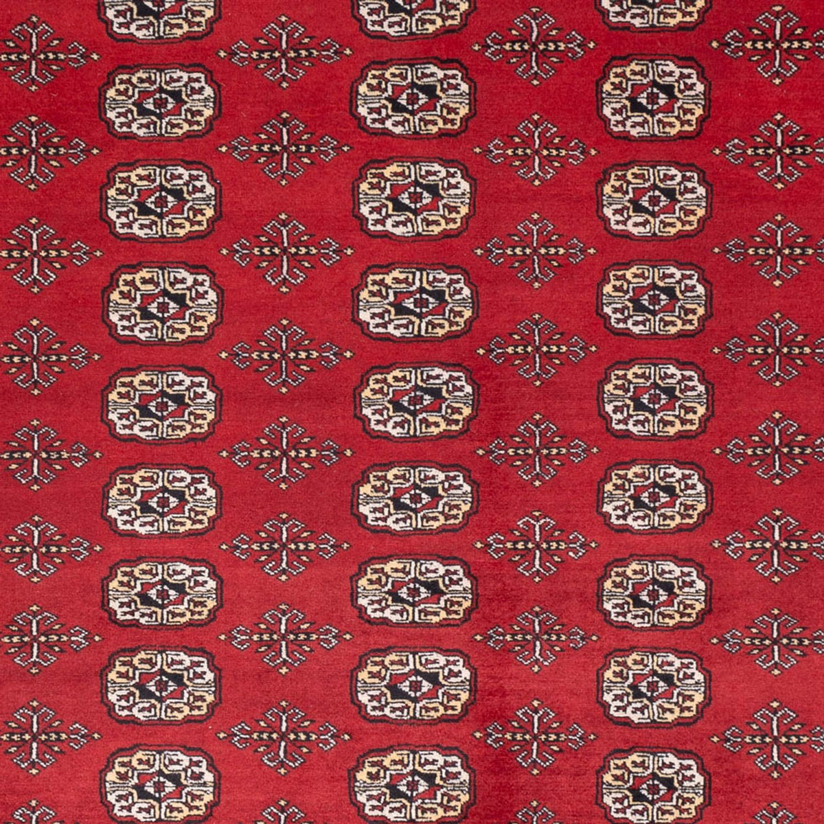 Tappeto afgano - Bukhara - 298 x 243 cm - rosso