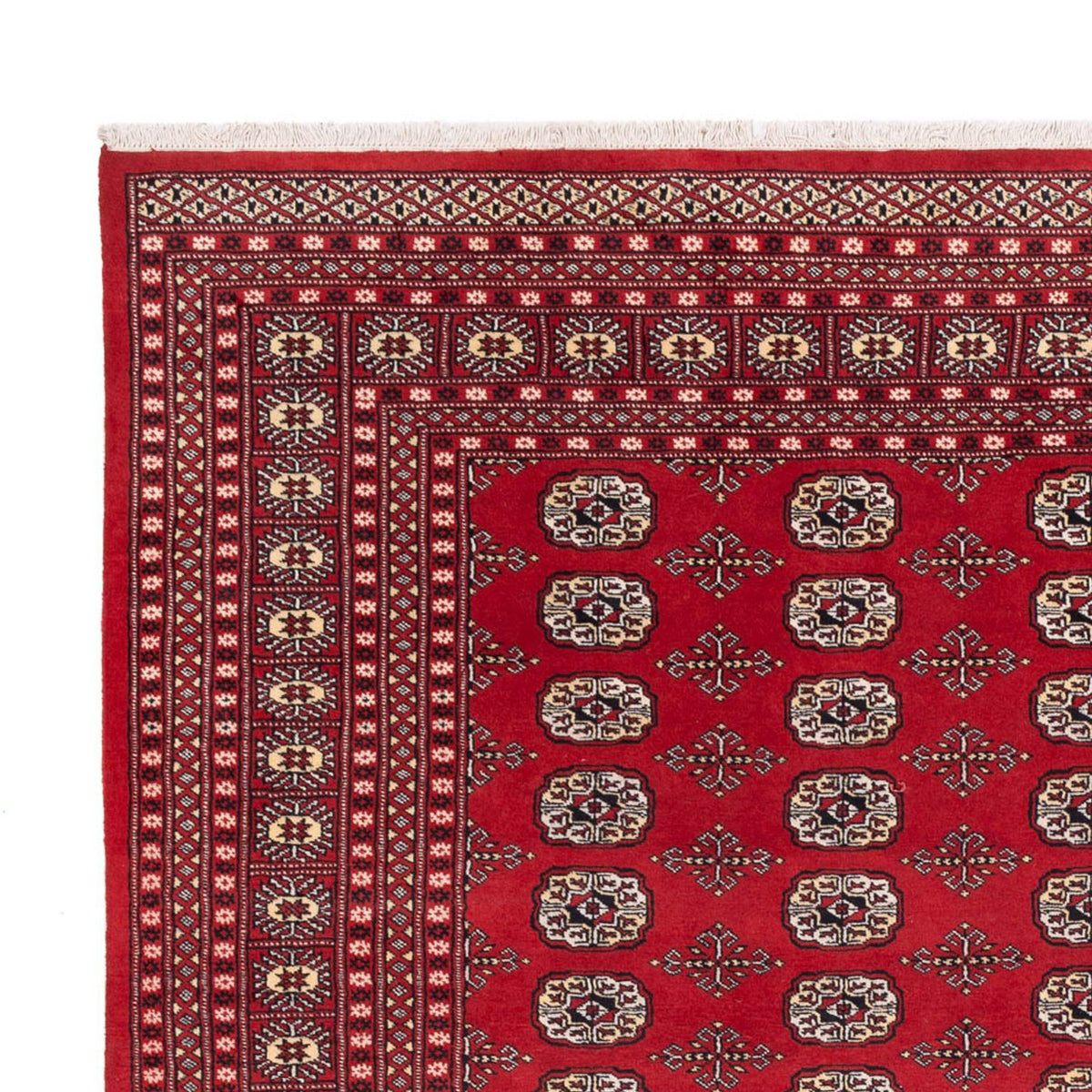 Tappeto afgano - Bukhara - 298 x 243 cm - rosso