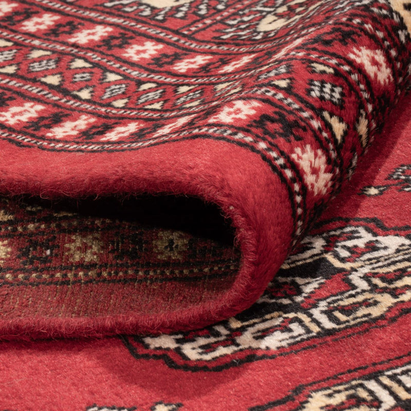 Tappeto afgano - Bukhara - 298 x 243 cm - rosso