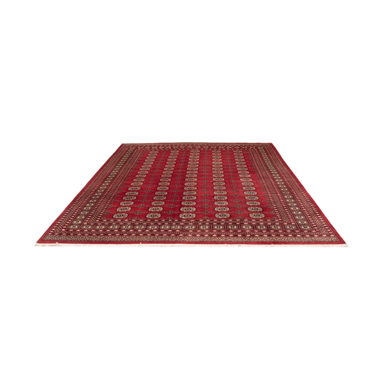 Tappeto afgano - Bukhara - 298 x 243 cm - rosso