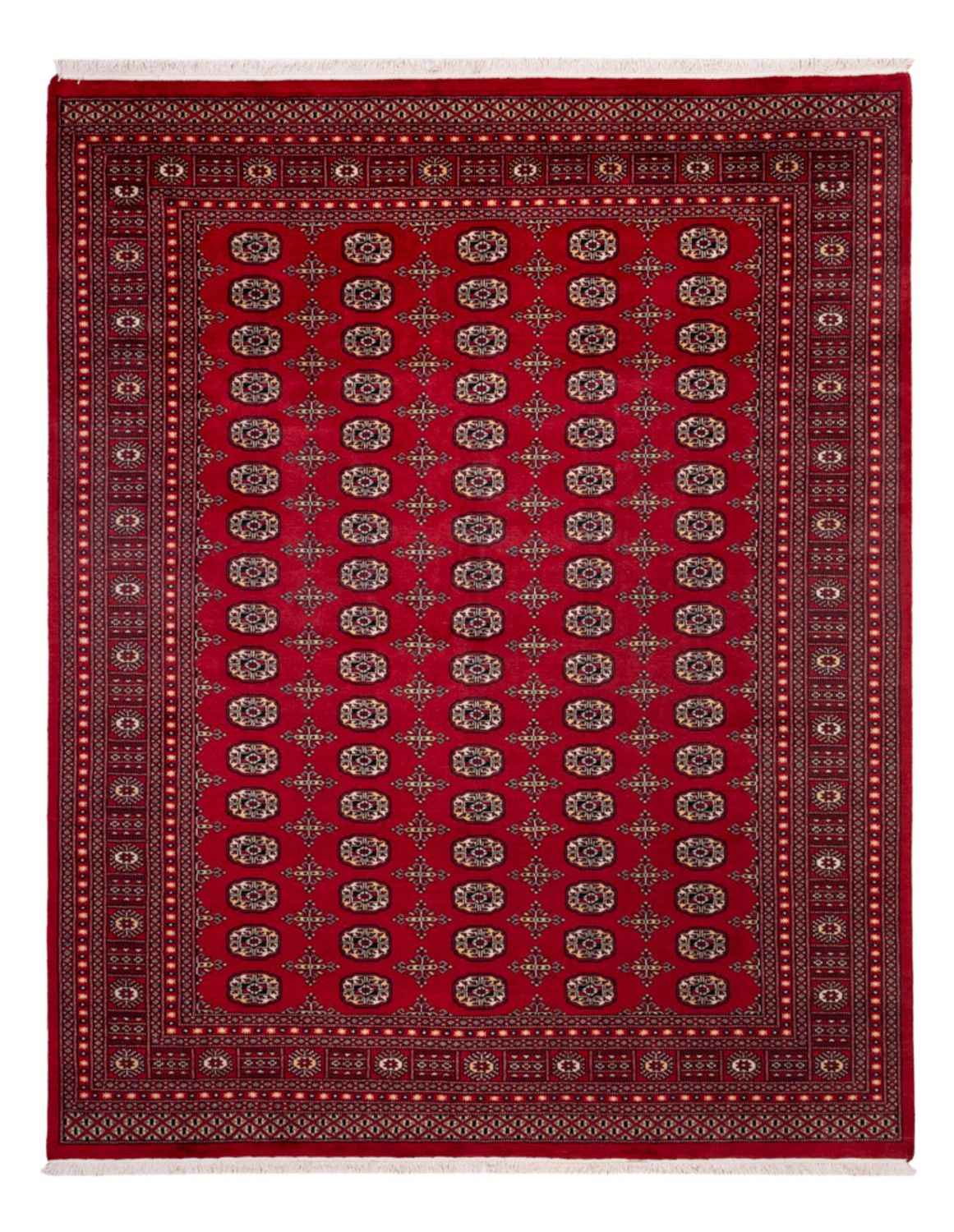 Tappeto afgano - Bukhara - 308 x 243 cm - rosso