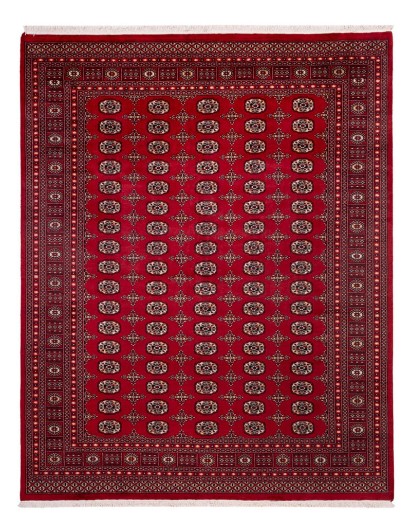 Tappeto afgano - Bukhara - 308 x 243 cm - rosso