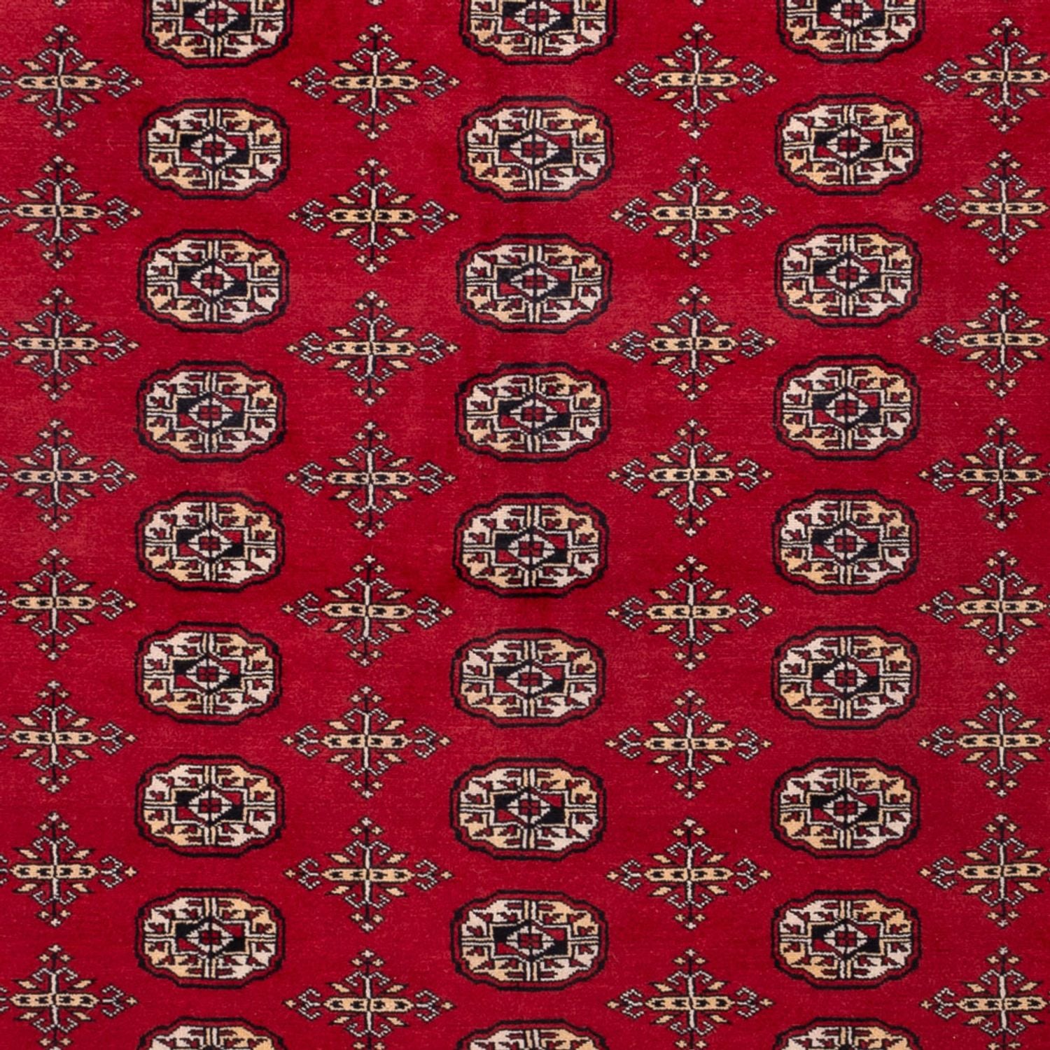 Tappeto afgano - Bukhara - 308 x 243 cm - rosso