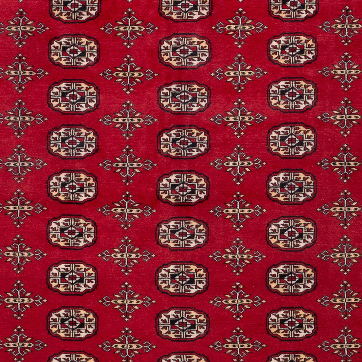 Tappeto afgano - Bukhara - 308 x 243 cm - rosso