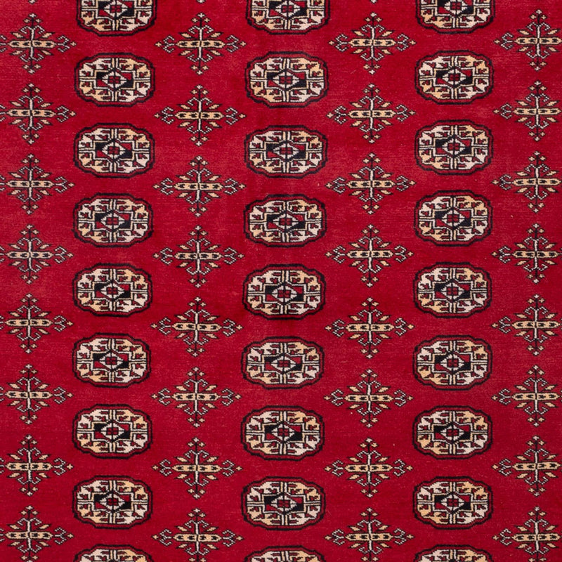 Tappeto afgano - Bukhara - 308 x 243 cm - rosso
