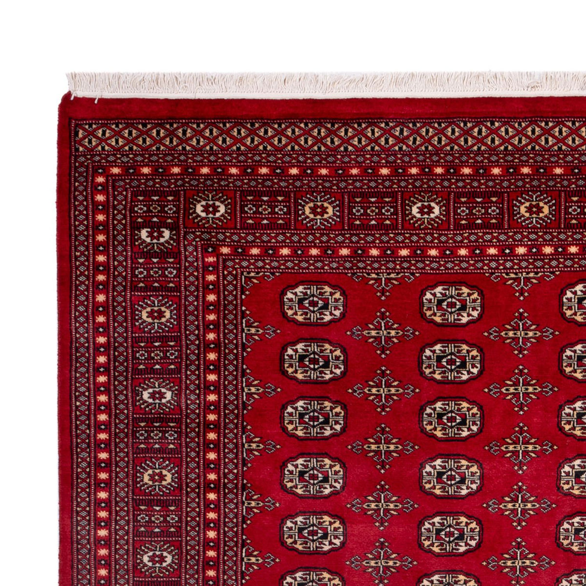Tappeto afgano - Bukhara - 308 x 243 cm - rosso