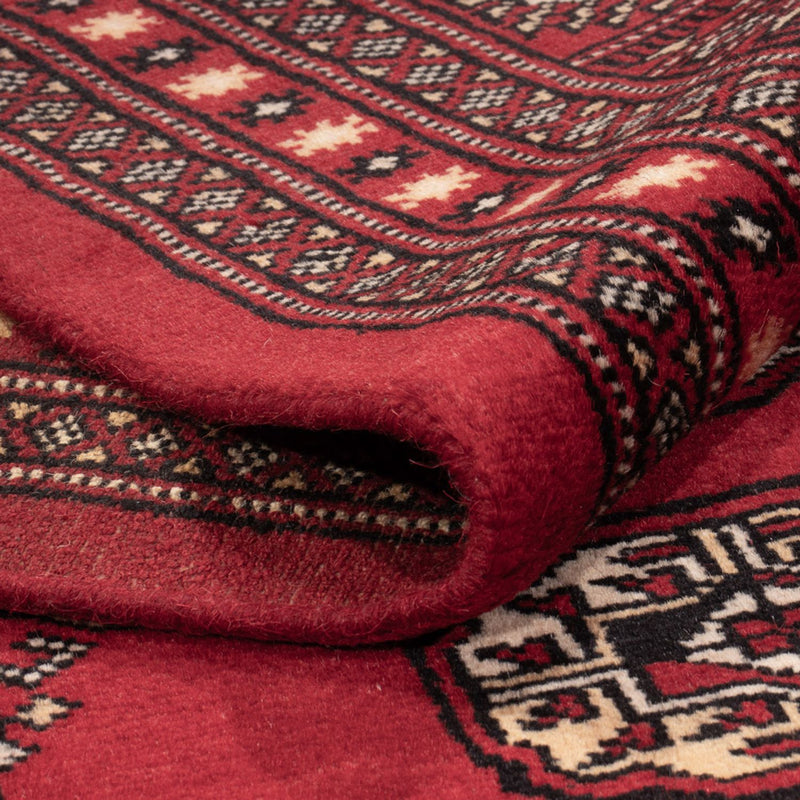Tappeto afgano - Bukhara - 308 x 243 cm - rosso