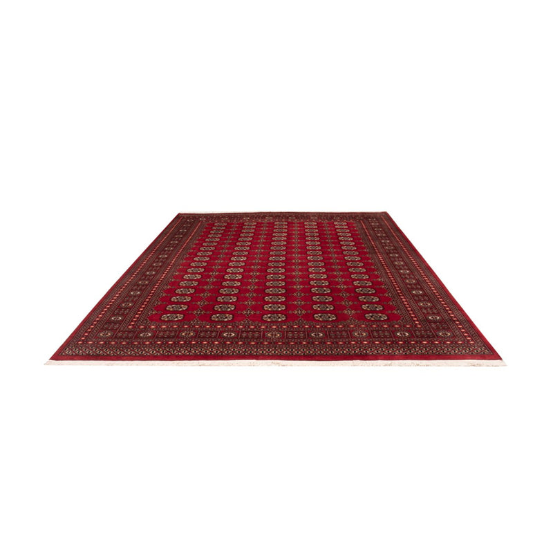 Tappeto afgano - Bukhara - 308 x 243 cm - rosso