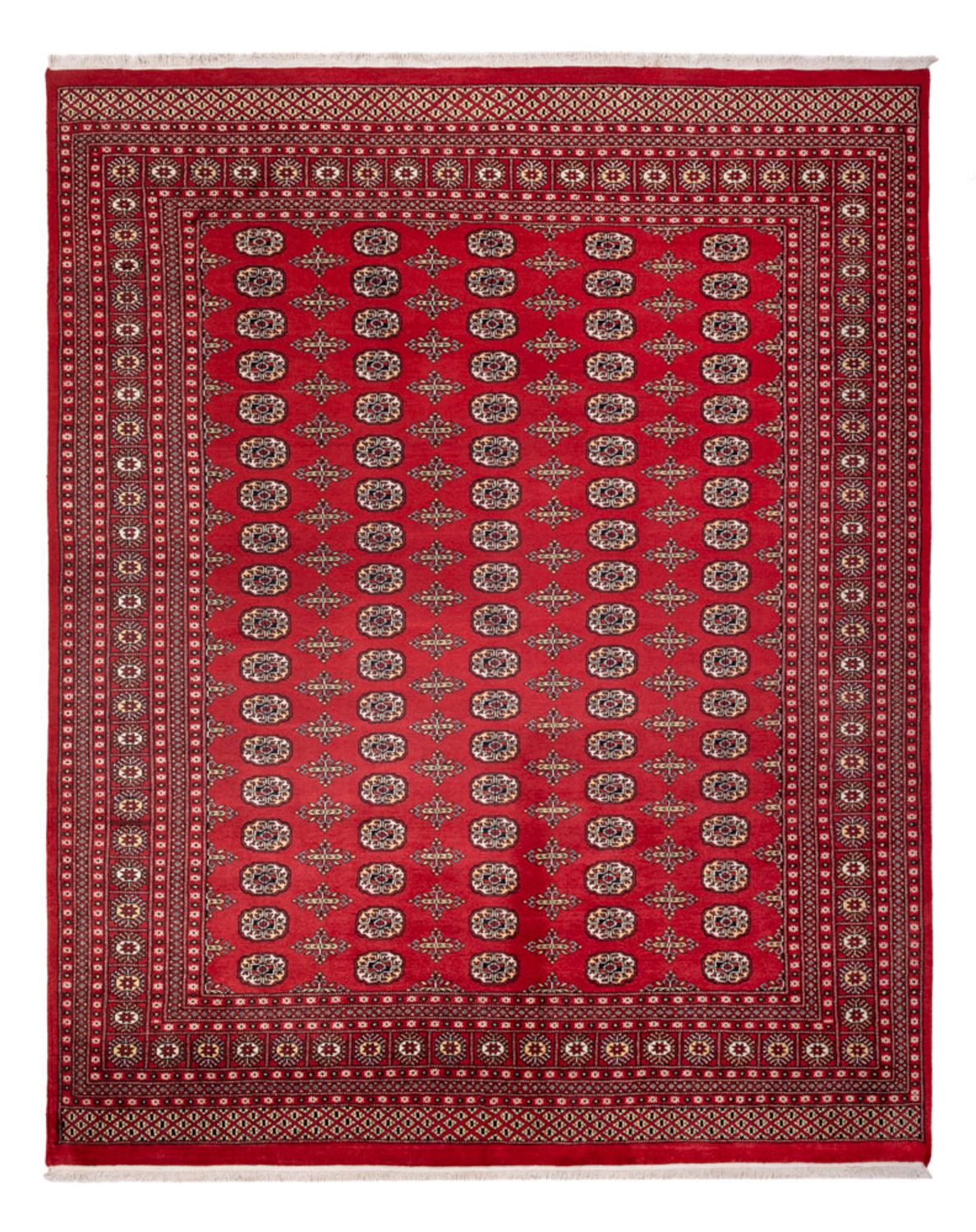 Tappeto afgano - Bukhara - 312 x 244 cm - rosso