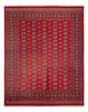 Bukhara Tappeto 312x244cm - Tappeto orientale
