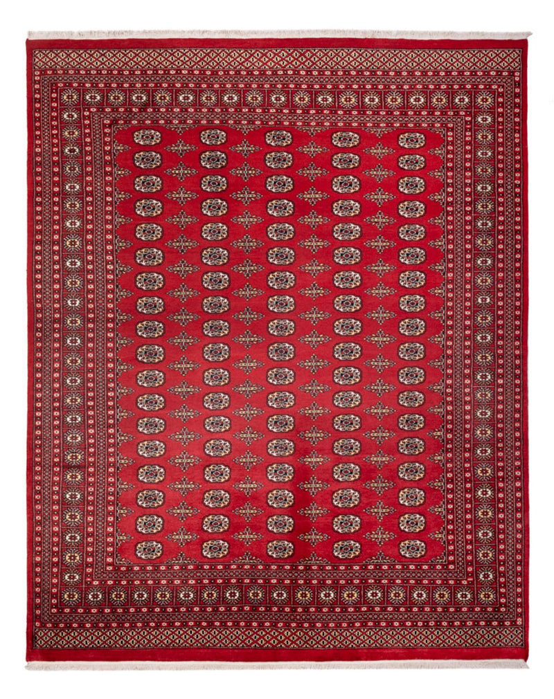 Tappeto afgano - Bukhara - 312 x 244 cm - rosso