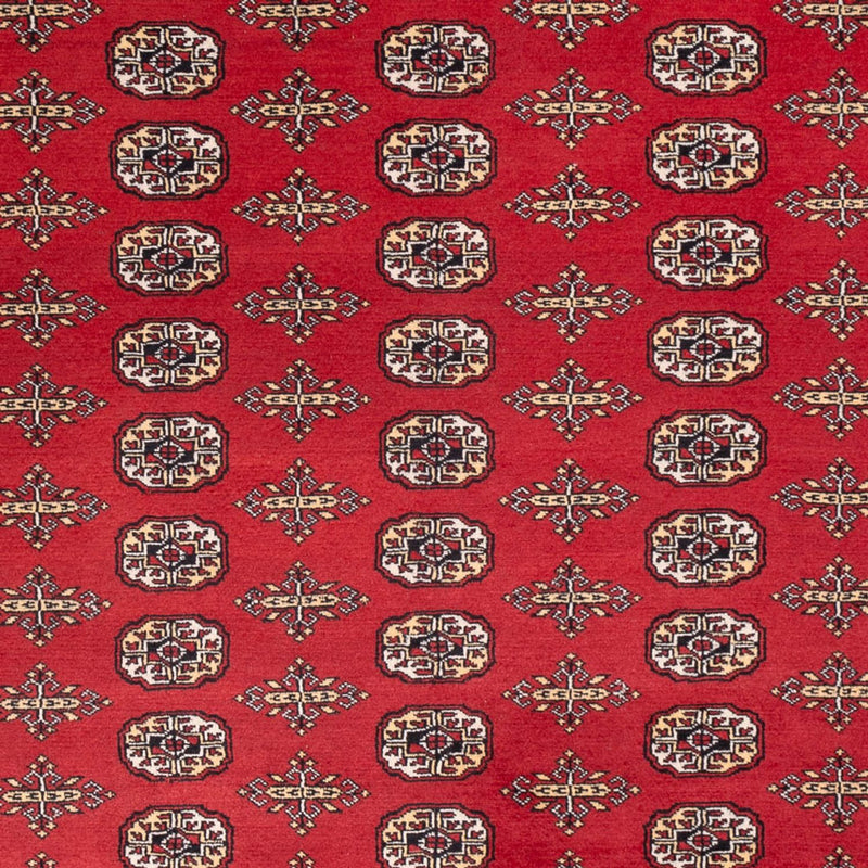 Tappeto afgano - Bukhara - 312 x 244 cm - rosso