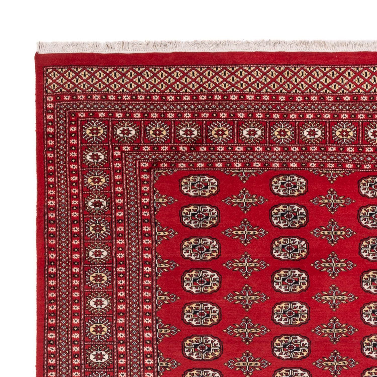 Tappeto afgano - Bukhara - 312 x 244 cm - rosso