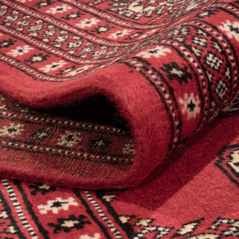 Tappeto afgano - Bukhara - 312 x 244 cm - rosso