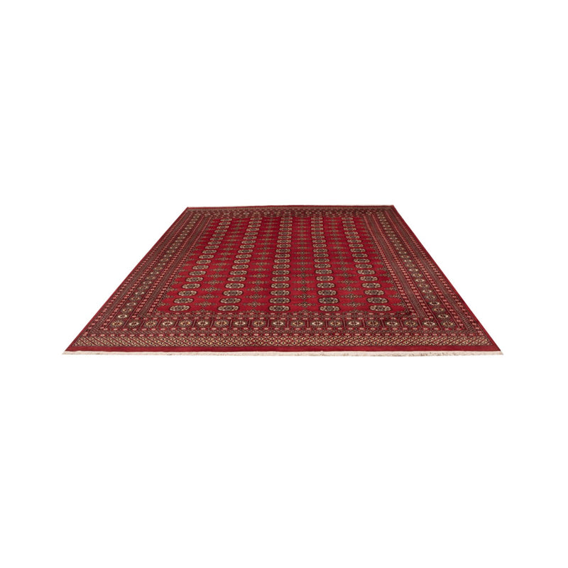 Tappeto afgano - Bukhara - 312 x 244 cm - rosso