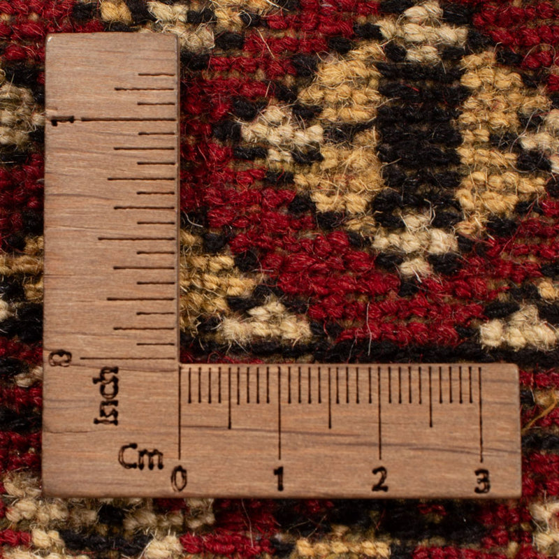 Tappeto afgano - Bukhara - 312 x 244 cm - rosso