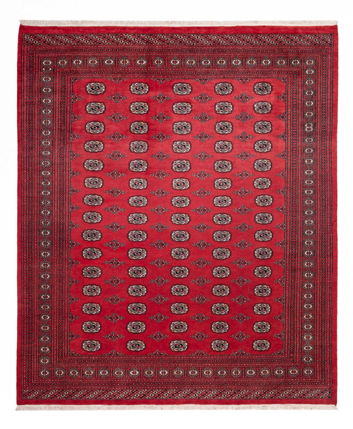 Tappeto afgano - Bukhara - 305 x 246 cm - rosso