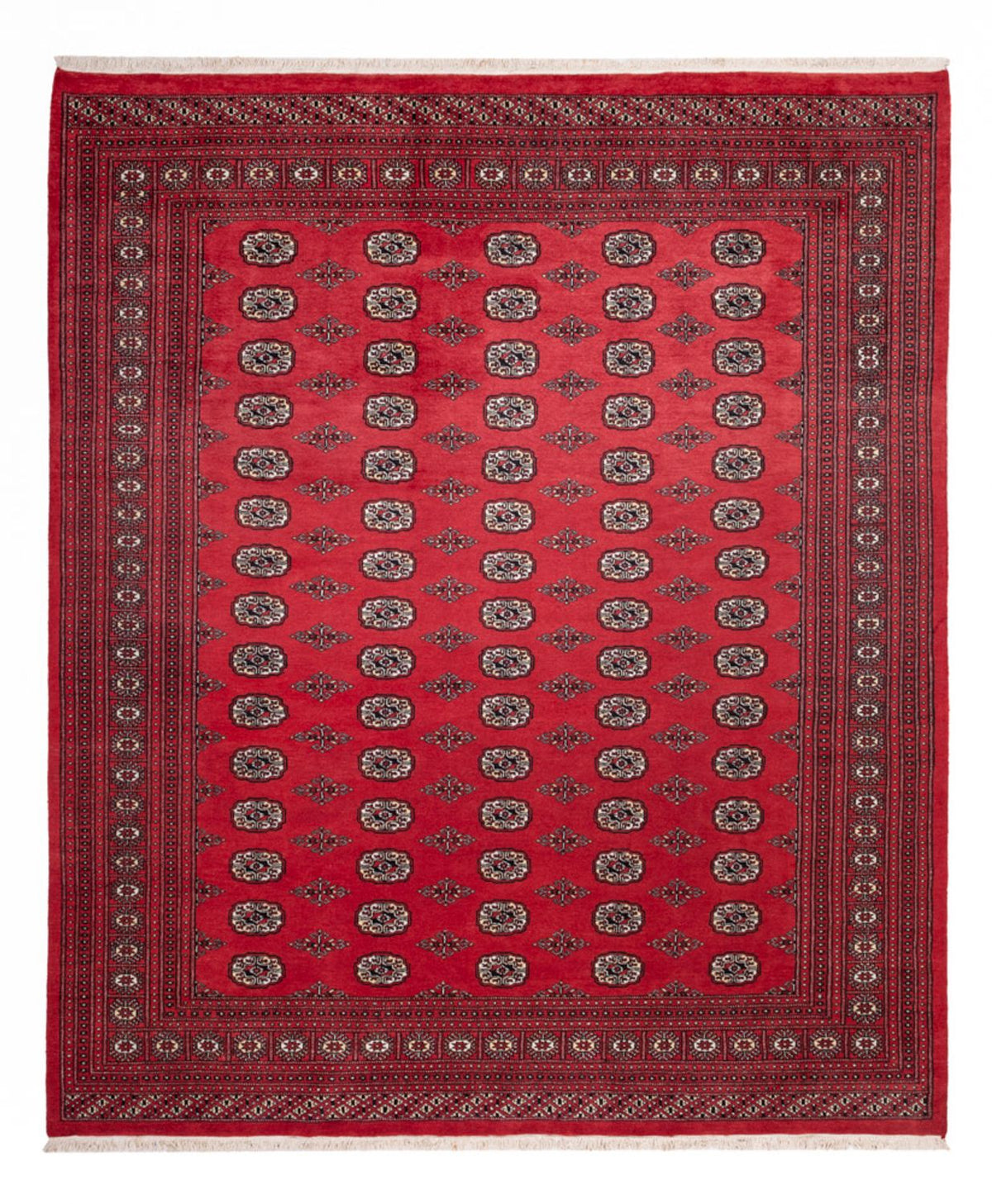 Tappeto afgano - Bukhara - 305 x 246 cm - rosso
