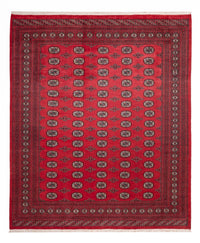 Tappeto afgano - Bukhara - 305 x 246 cm - rosso