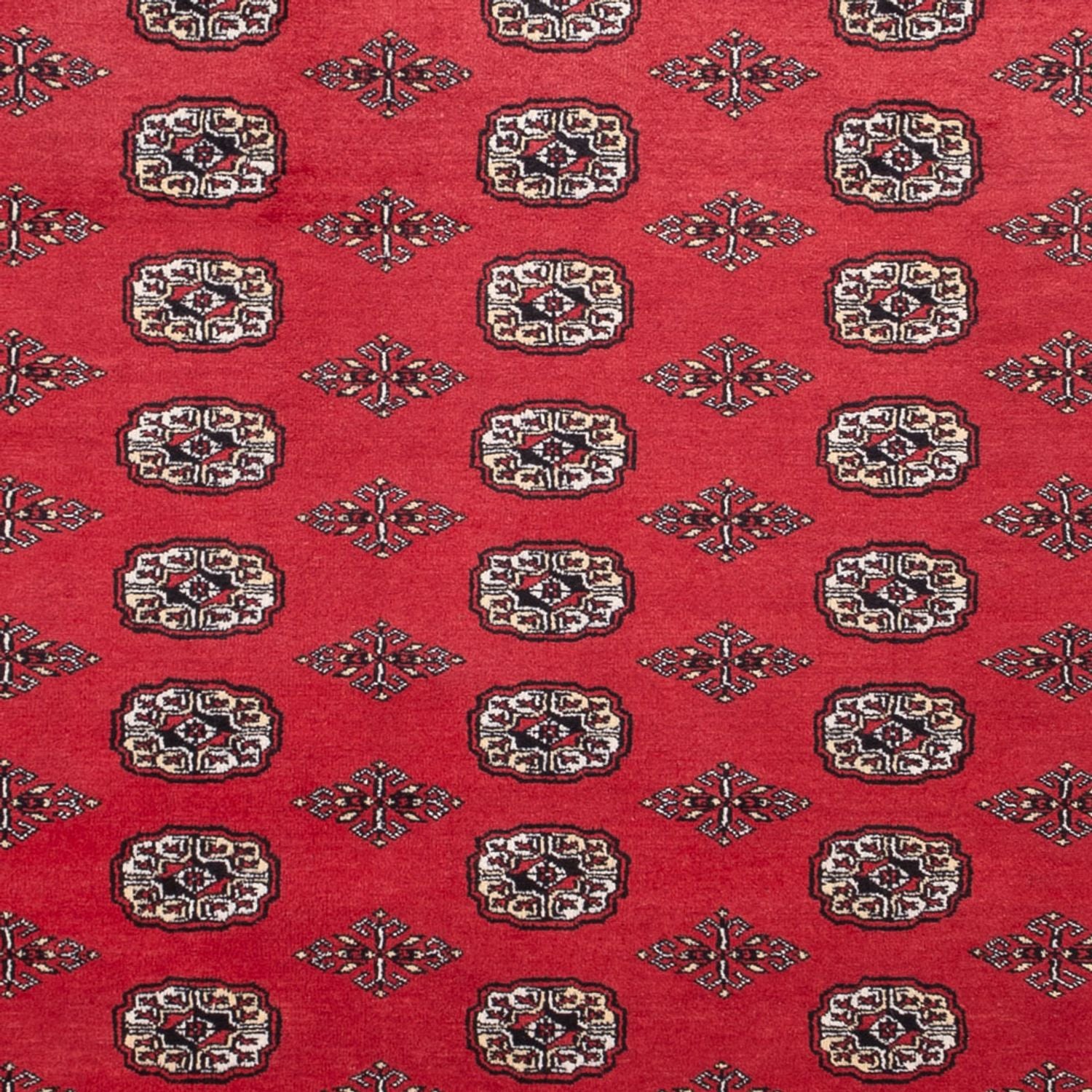 Tappeto afgano - Bukhara - 305 x 246 cm - rosso