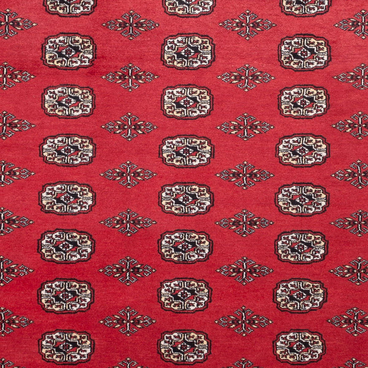 Tappeto afgano - Bukhara - 305 x 246 cm - rosso