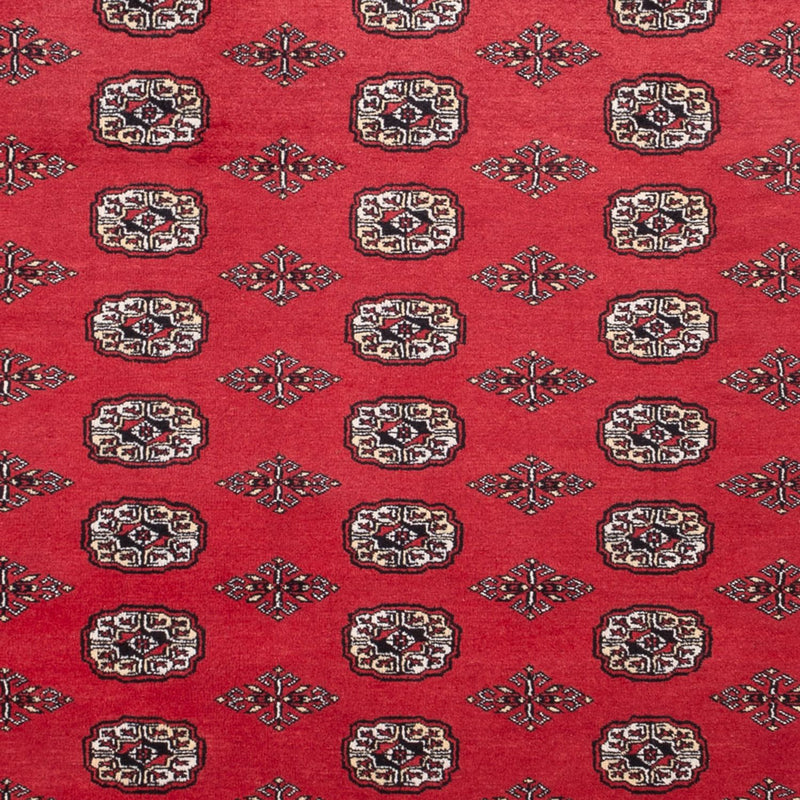 Tappeto afgano - Bukhara - 305 x 246 cm - rosso