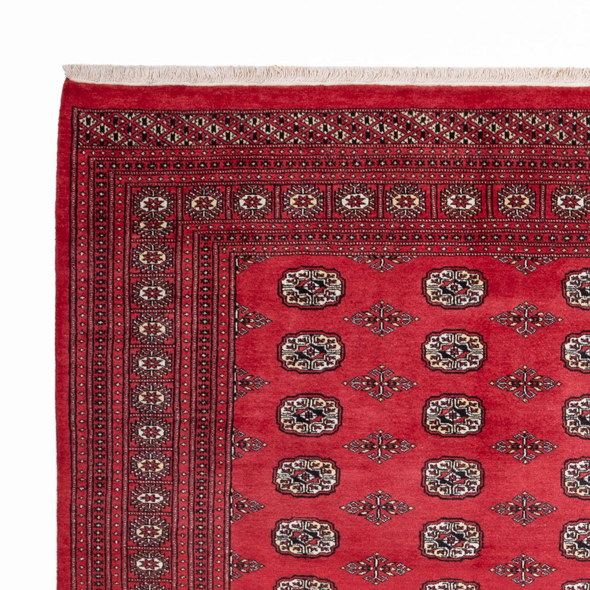 Tappeto afgano - Bukhara - 305 x 246 cm - rosso