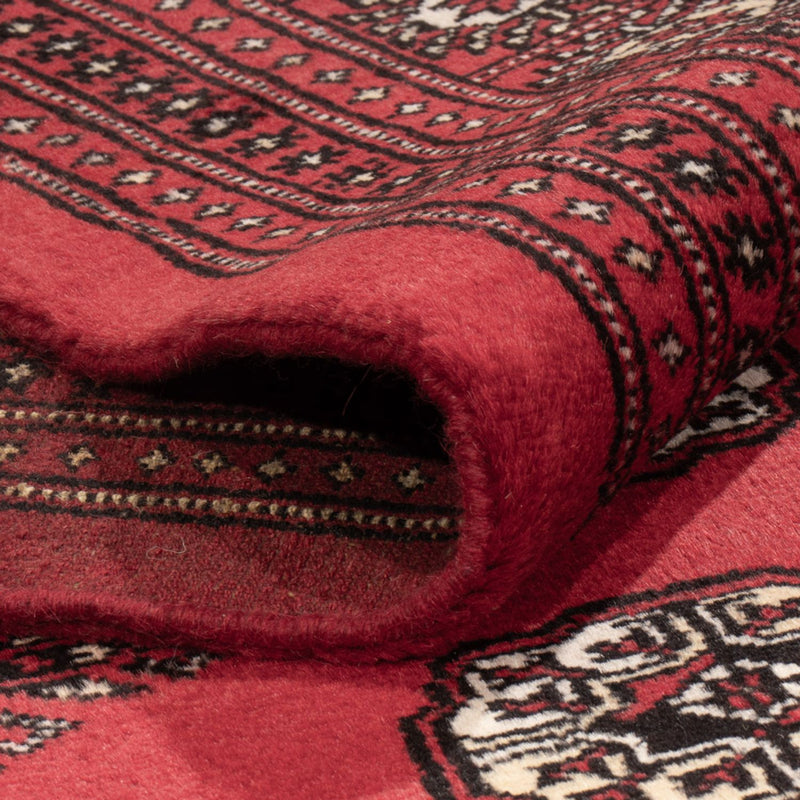 Tappeto afgano - Bukhara - 305 x 246 cm - rosso
